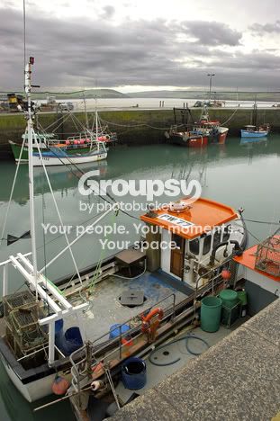 padstowboatsppf.jpg