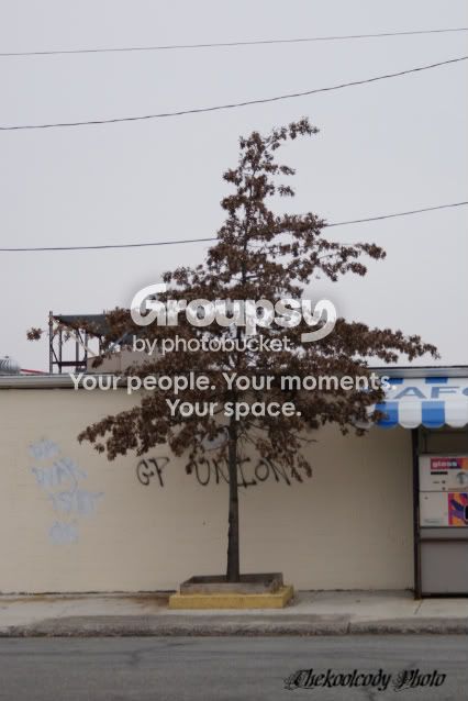 DSC00048.jpg
