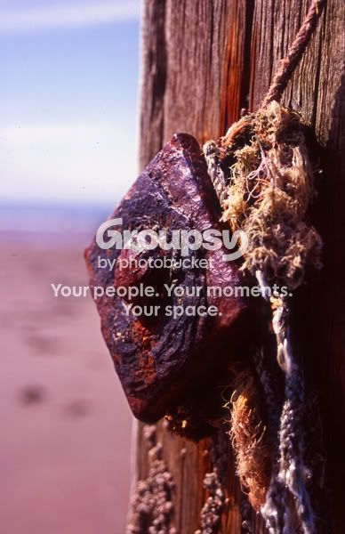 img015-pp-r-1.jpg