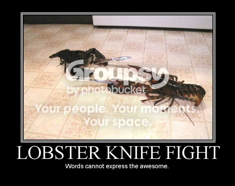 lobster.jpg