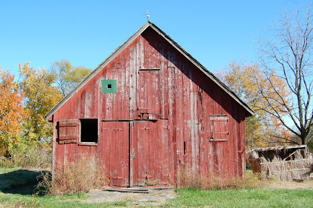 DSC_0222.JPG
