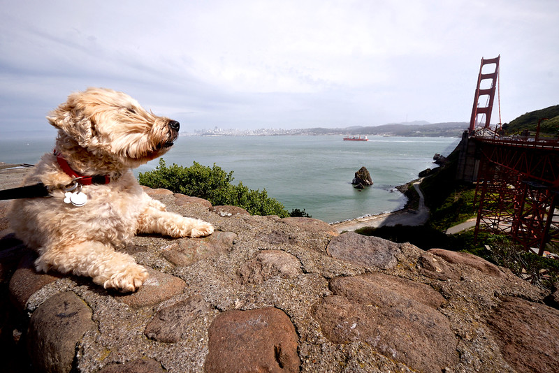 DSCF2429-L.jpg