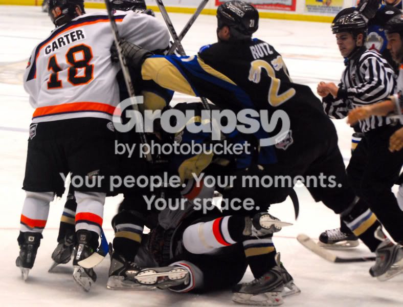 IceBears1790001.jpg