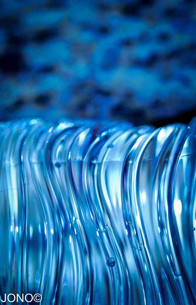 6740412195_789a9247e7_b.jpg
