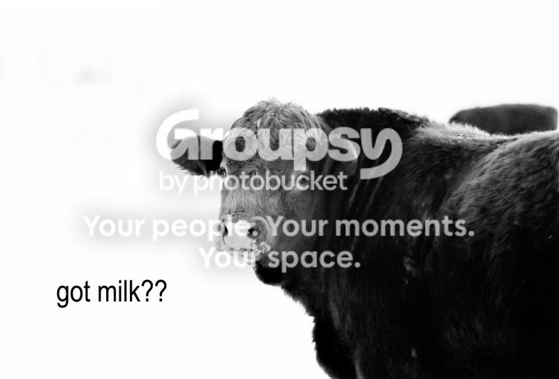 gotmilk.jpg