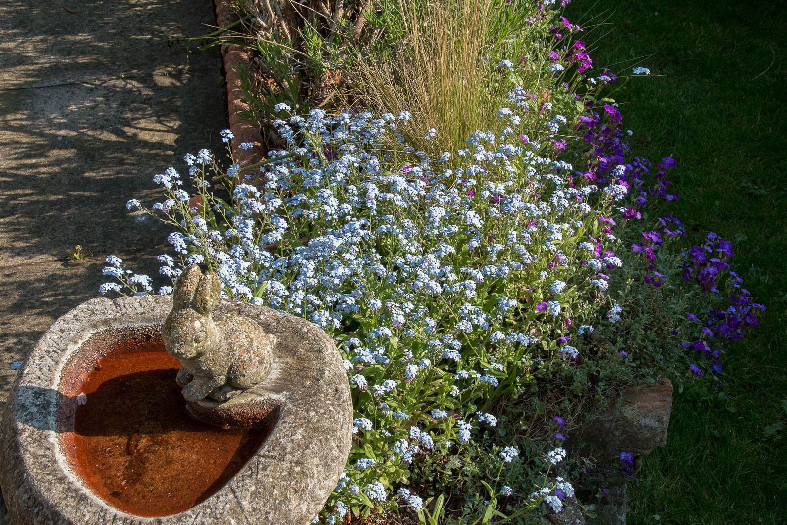 garden3_zpsdtasv1qq.jpg