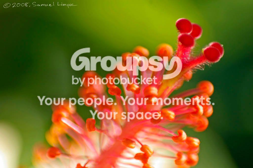_IGP6971copy.jpg