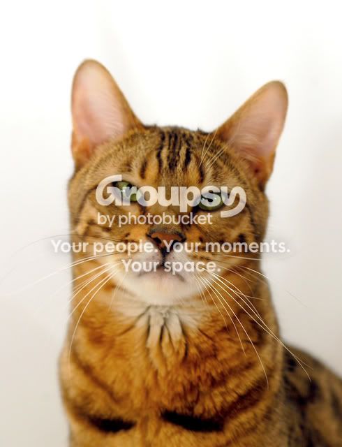 DSC_0028.jpg