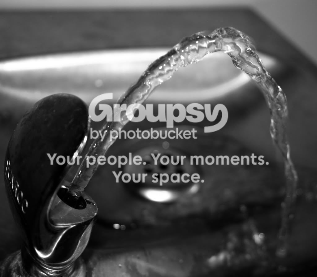 IMG_4442a.jpg