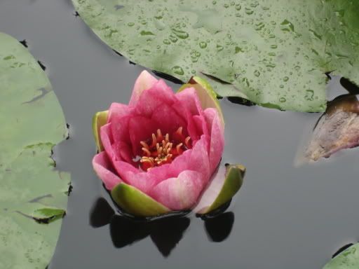 DSC01383.jpg