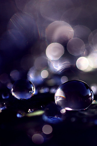 6066952076_2e999709ab.jpg