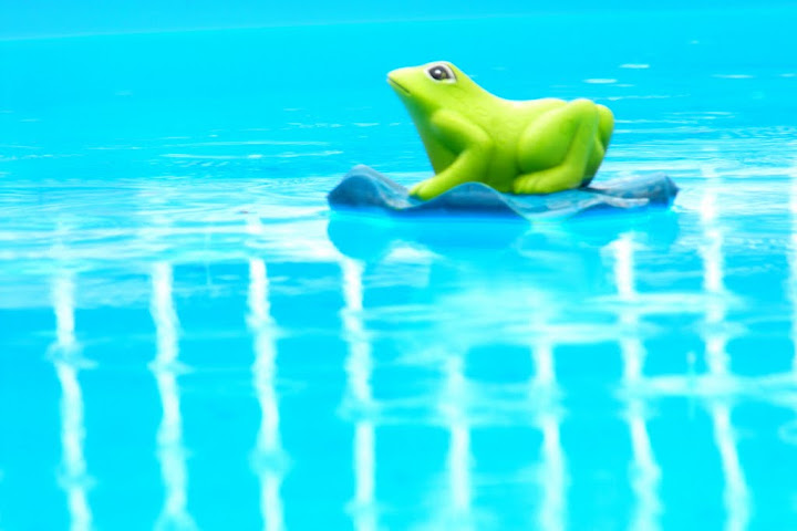 DSCF8788.JPG
