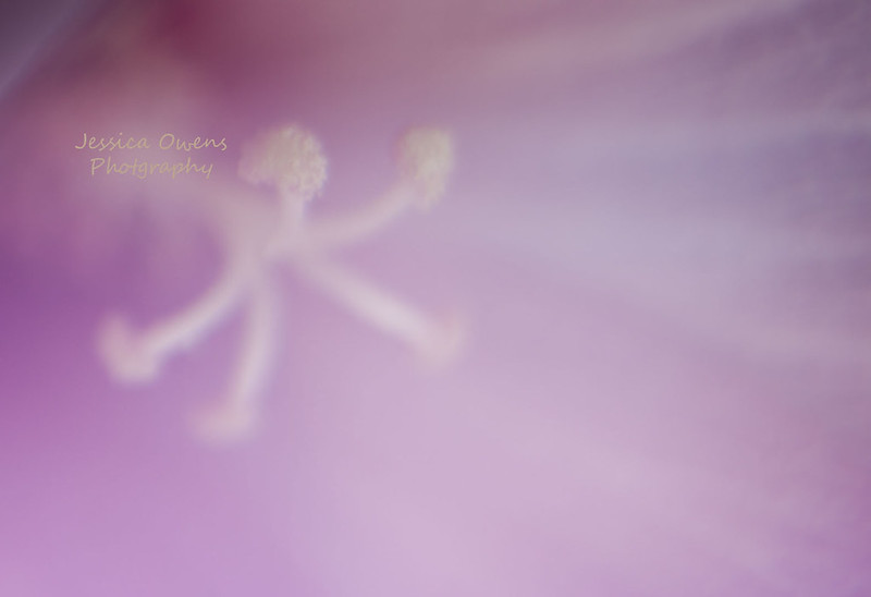 7781081014_8b2fd35b9c_c.jpg