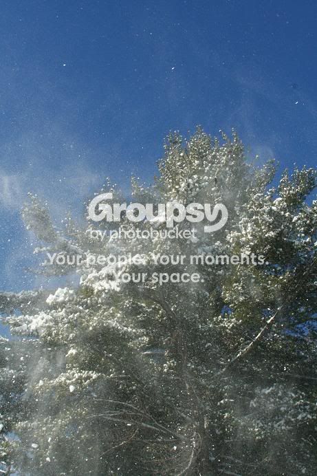 Snow2.jpg