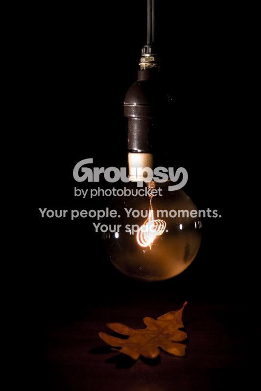 Lightbulb_0898.jpg