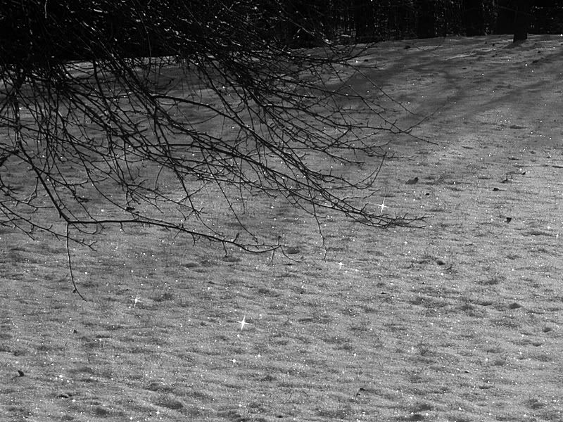 P1090331sm.jpg