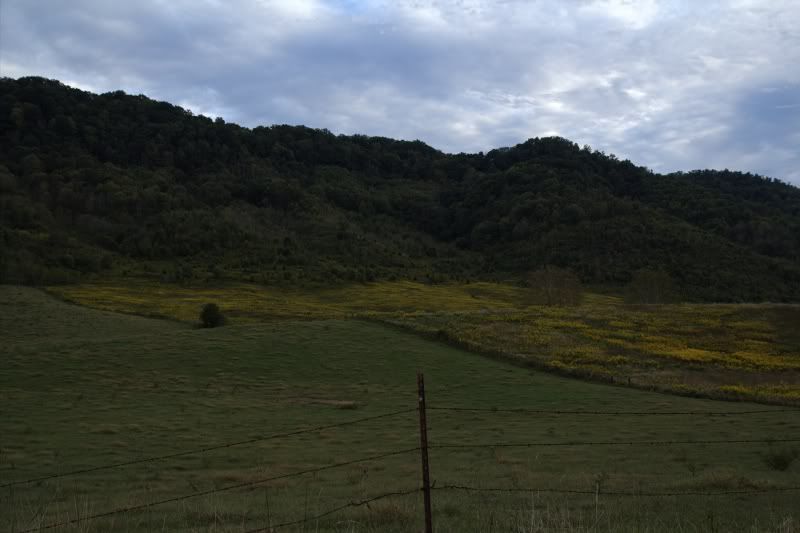 cedarfork.jpg