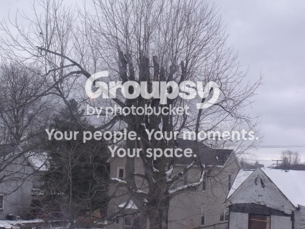 DSCF1655.jpg