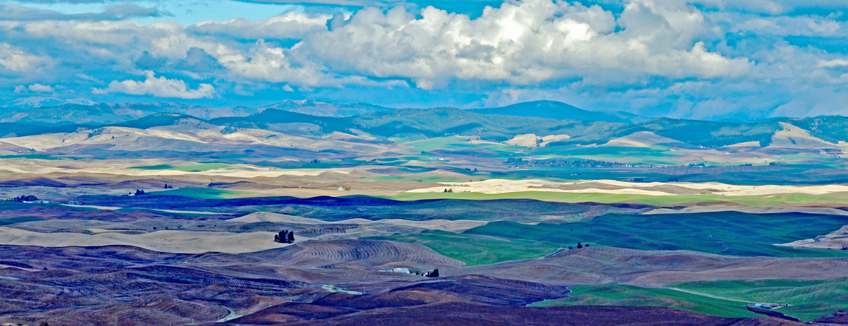 20130409_77pse.jpg