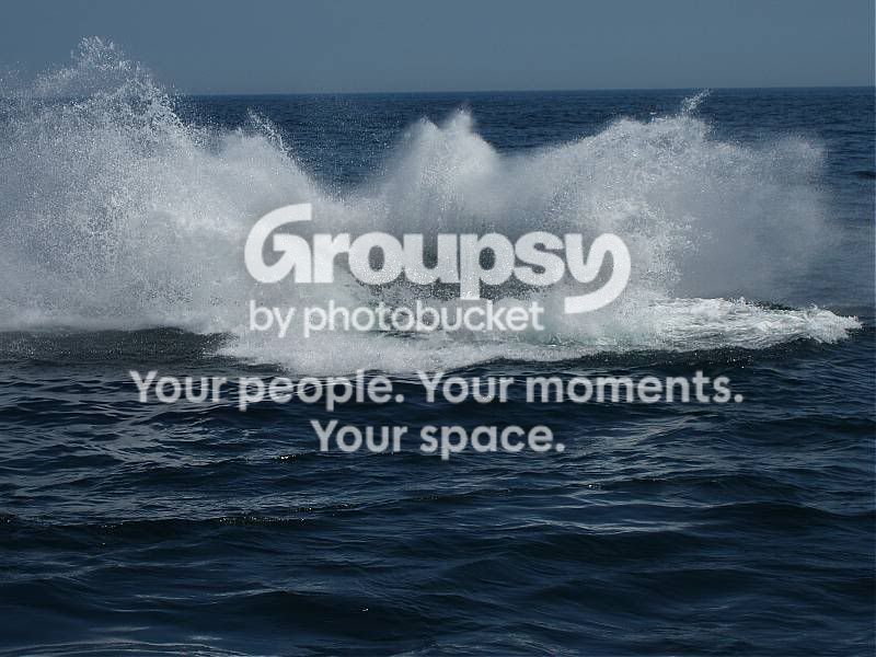 splash.jpg