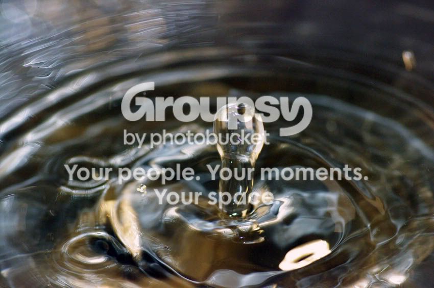 drop4.jpg