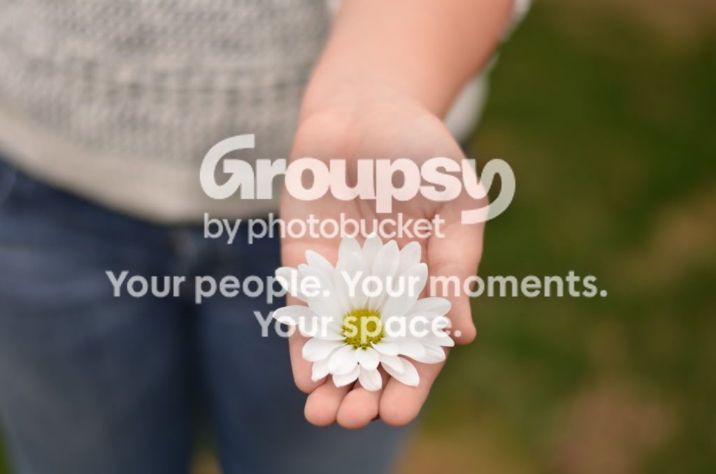 SOOCdaisy.jpg