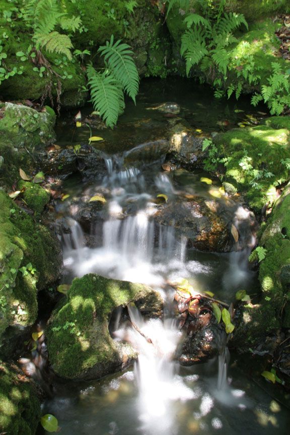 waterfall.jpg