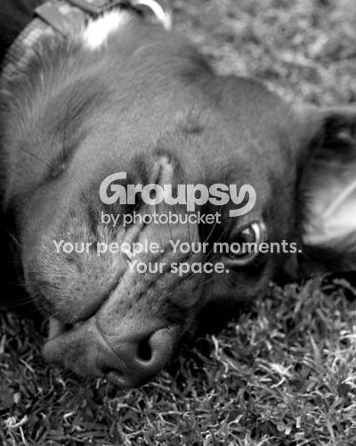 playingdead8x10share.jpg