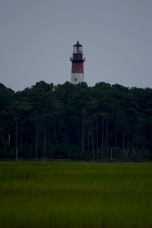 Chincoteague8-09094.jpg