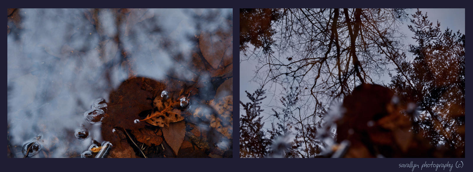 Under_and_Over_by_sarallyn.jpg