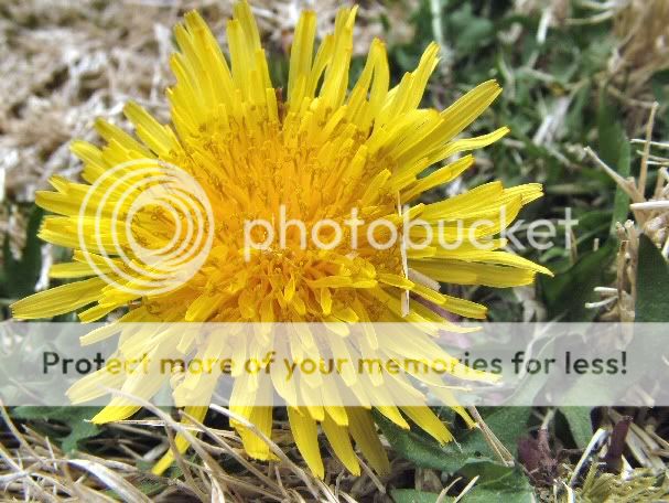 First_Pics_370.jpg