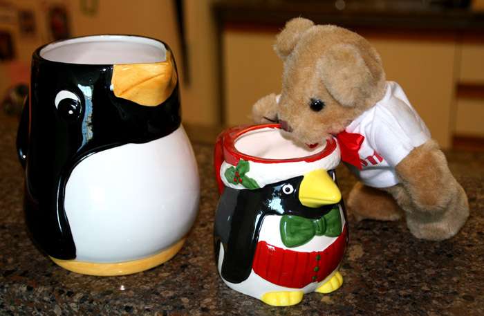 img0956psrsnx5.jpg