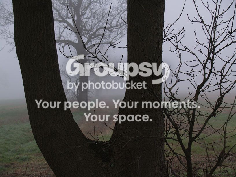 landscape3.jpg