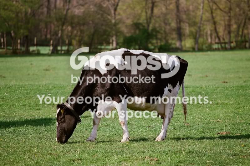 10700009.jpg