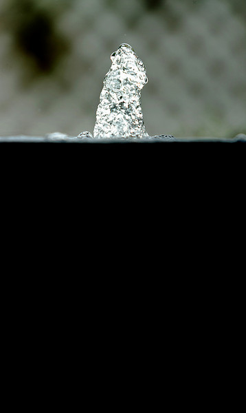 2CBL2222-L.jpg