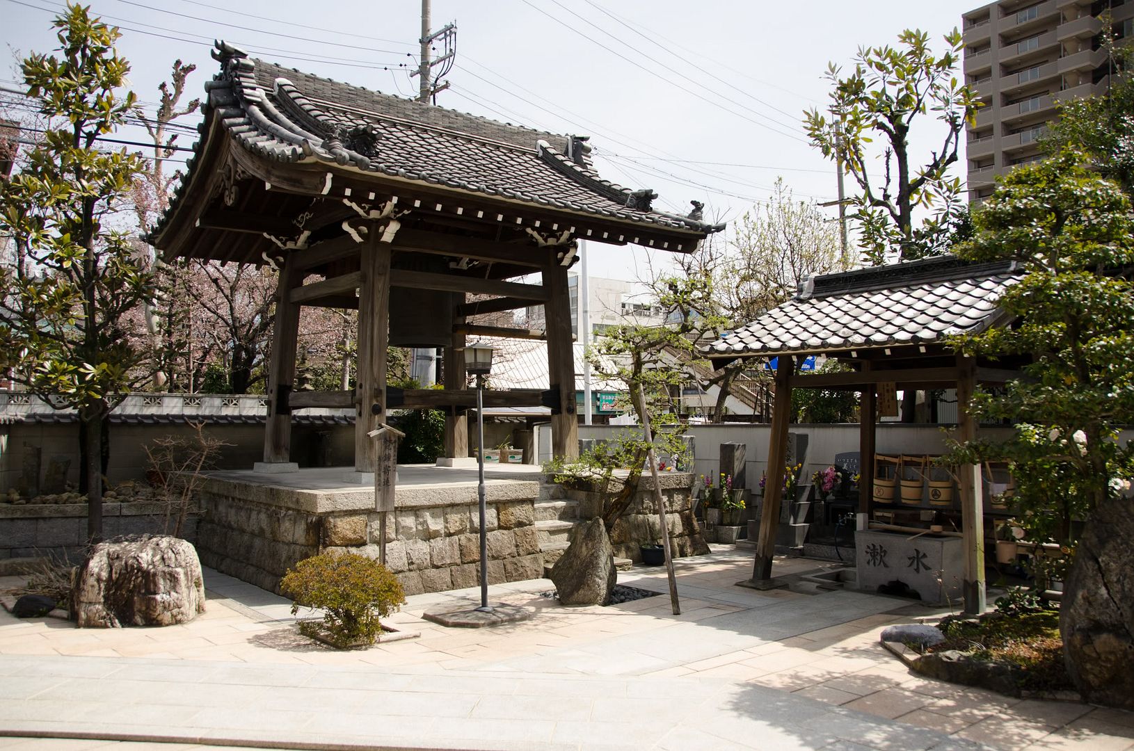 CTW_5407.jpg
