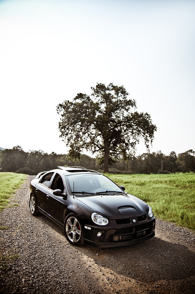 351697271_QBCGK-L.jpg