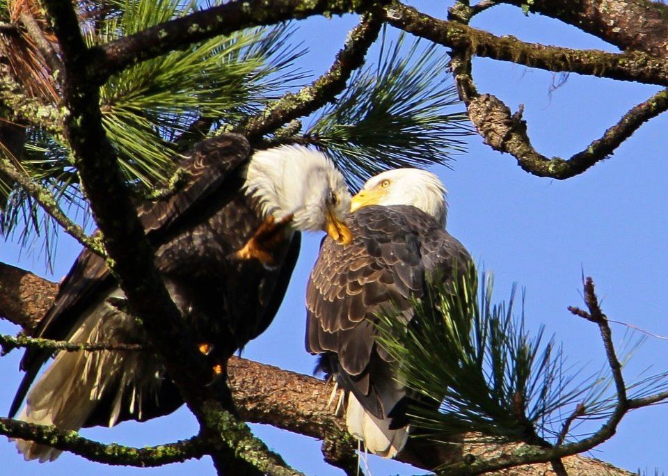 abyhe2ej.jpg