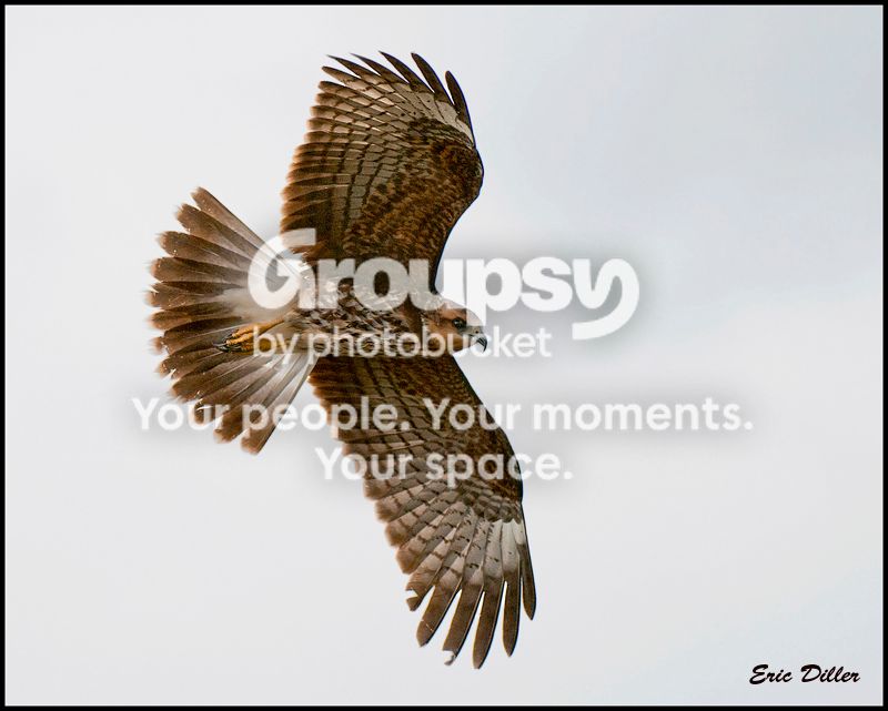 PIC_7041copycopy.jpg