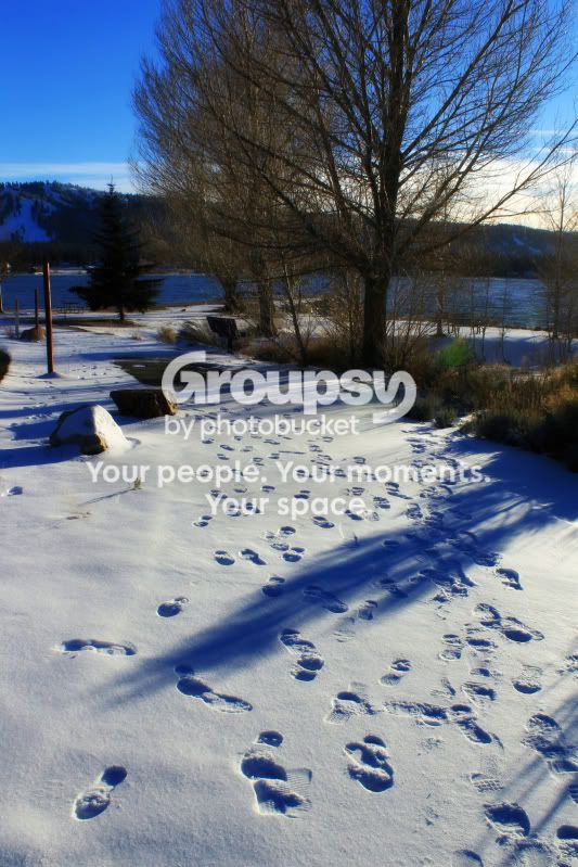 FootprintsinSnow.jpg
