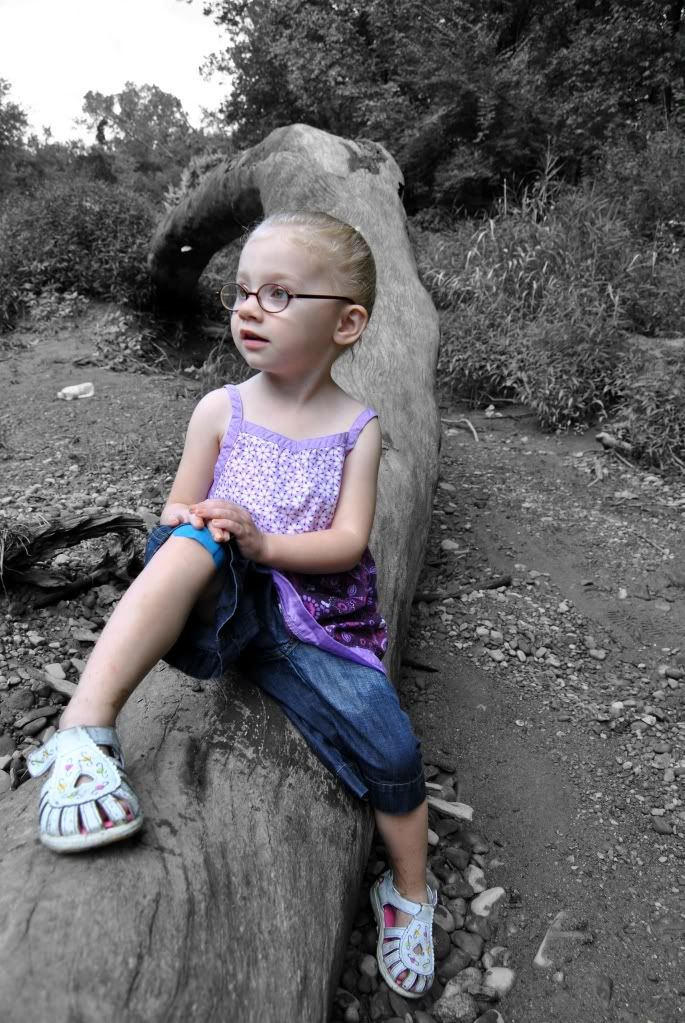 sophie01.jpg