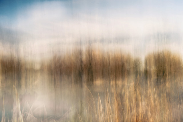 12204493225_13eb184d3b_z.jpg