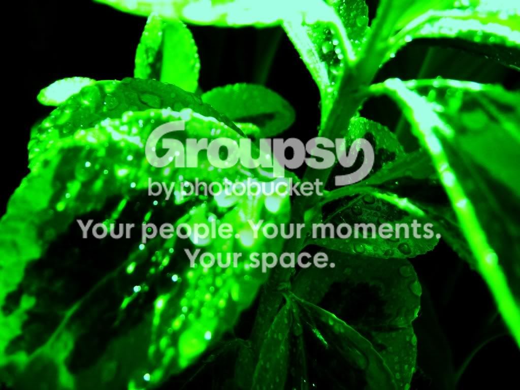 droplets004.jpg
