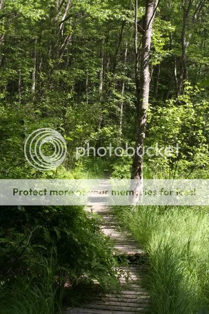 IMG_0948copy.jpg