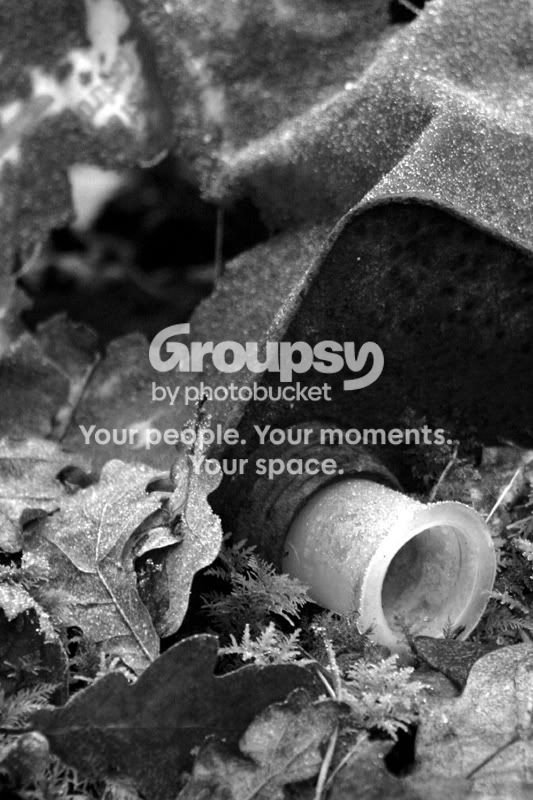 resizeIMG_3818bw.jpg