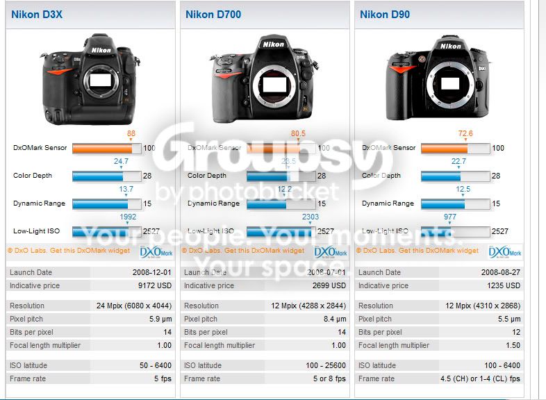DXO3.jpg