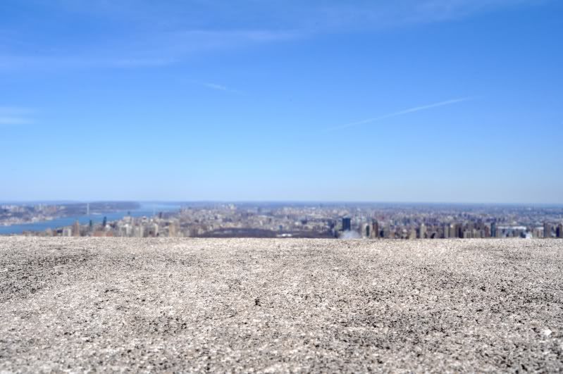 DSC_0770.jpg