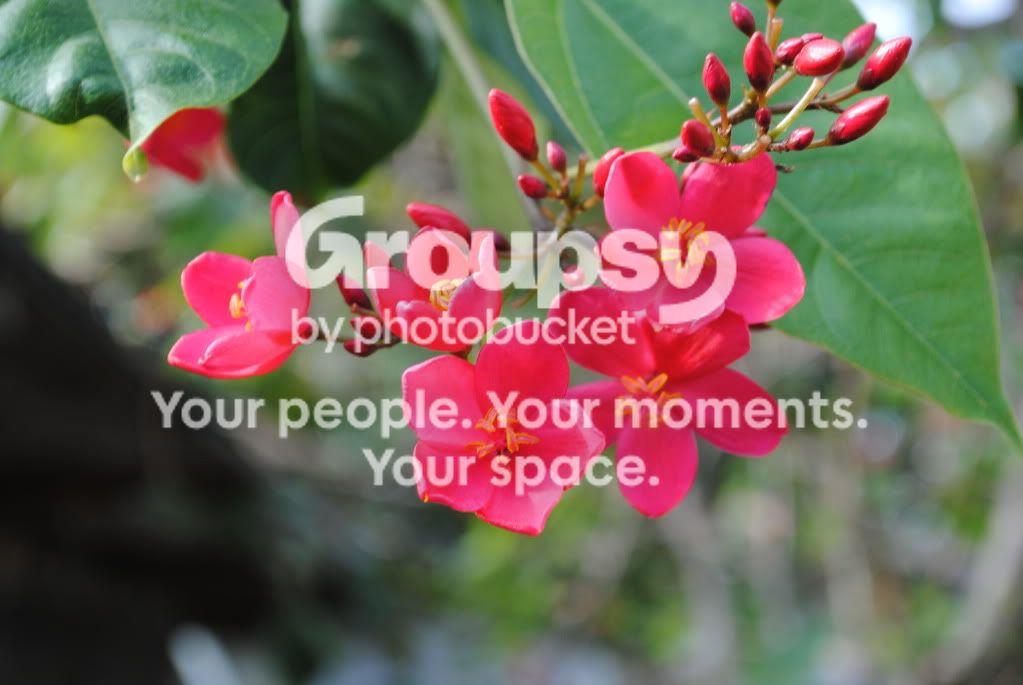 picturestakenbylizzy674.jpg