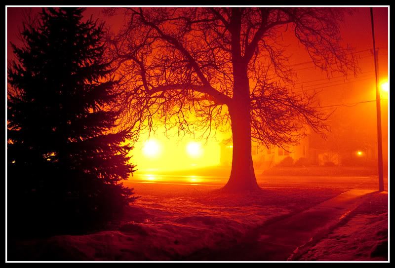 GlowingNight800.jpg