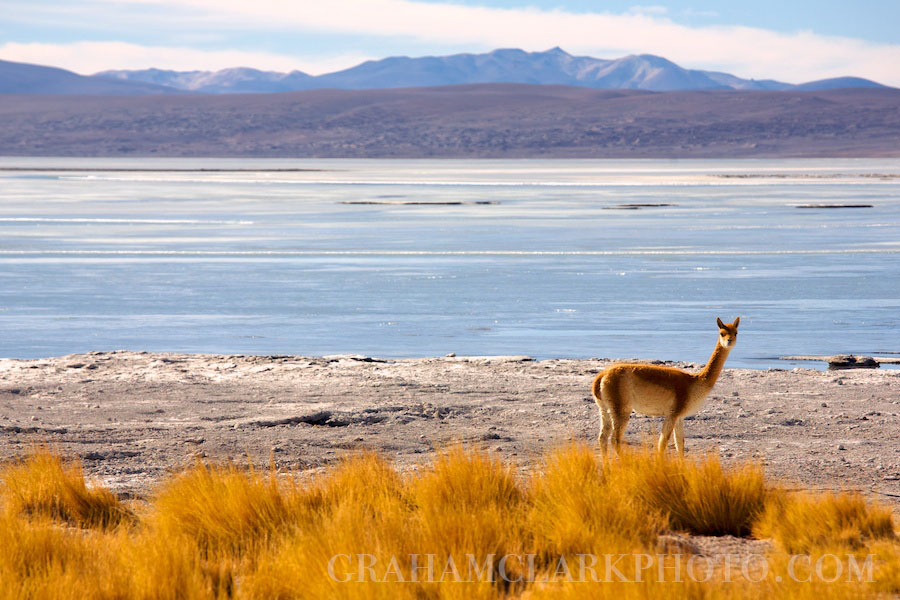 grahamclarkphoto-21.jpg